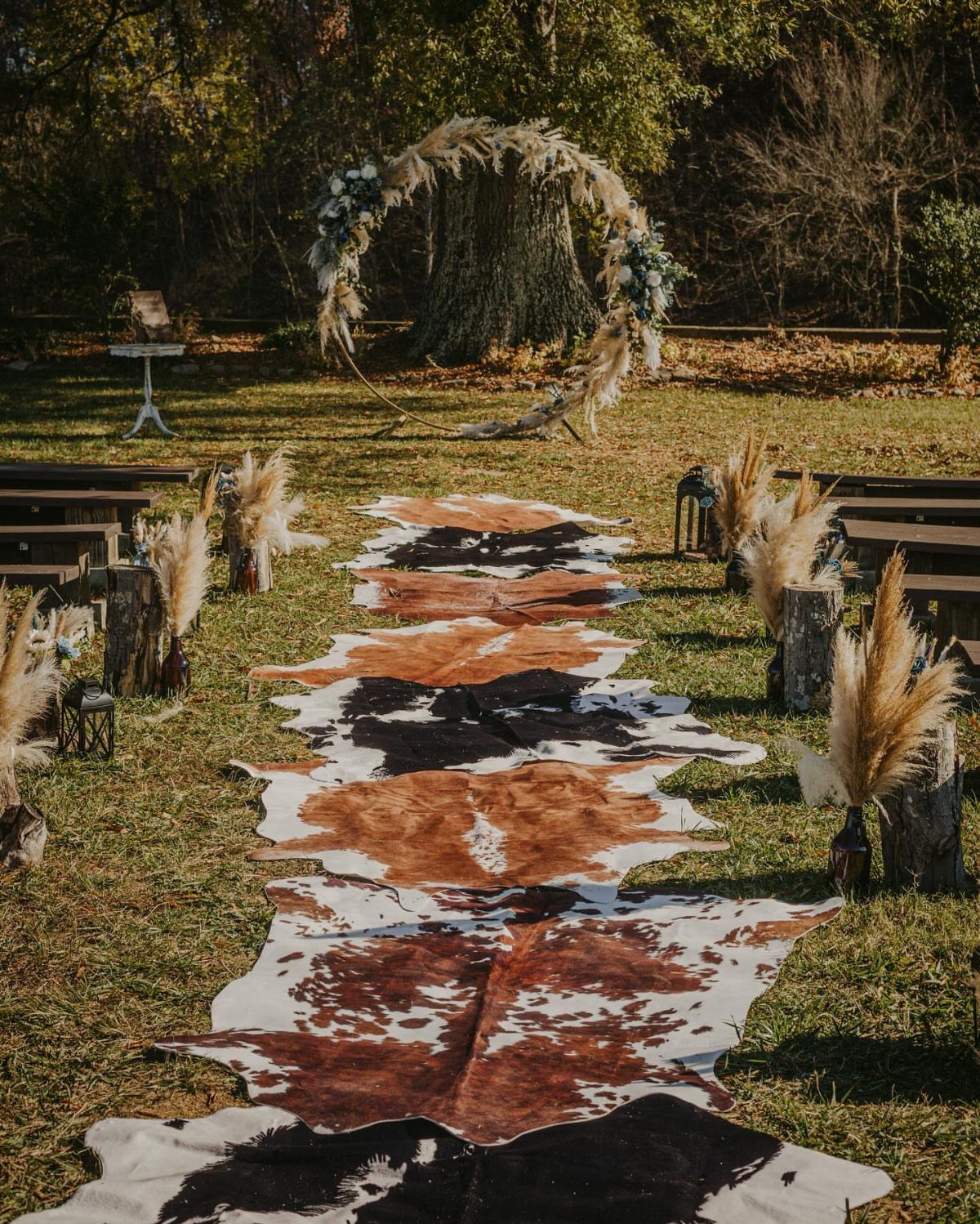 Cowhide rug aisle leading to a pampas grass circular arch in a forest